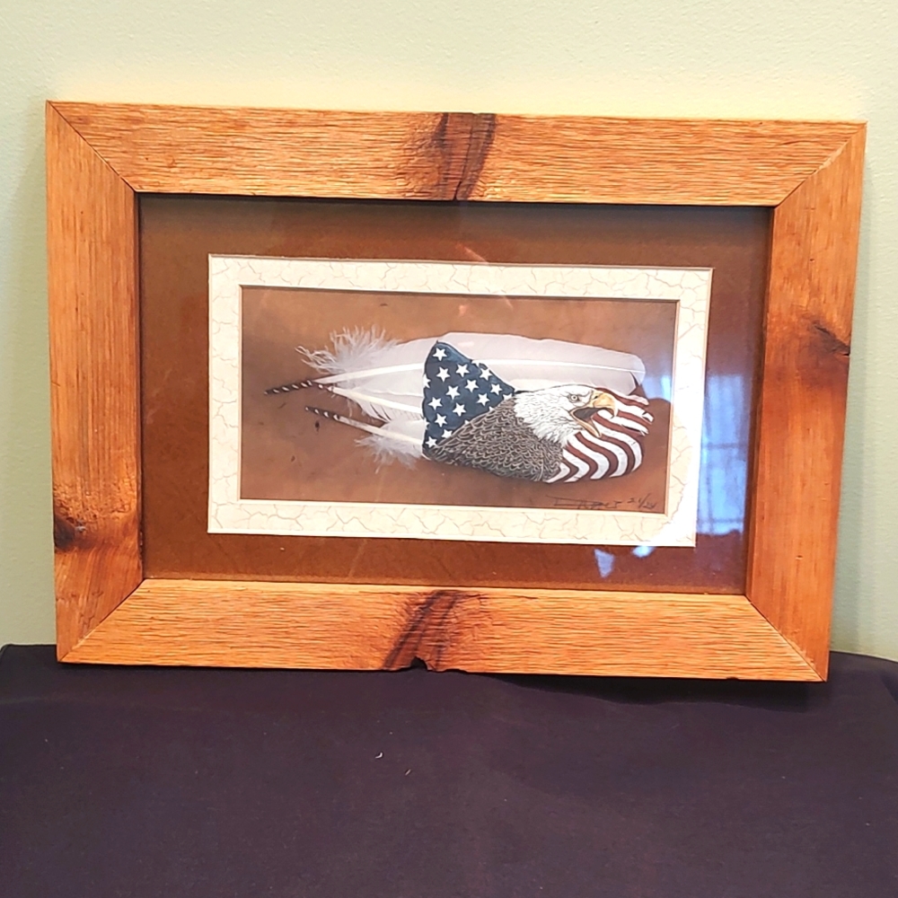 Framed art with Eagle, feathers, and American flag